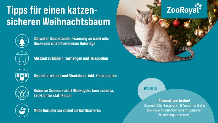 Infografik: Weihnachtsbaum katzensicher machen
