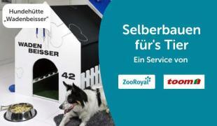Hundehütte selber bauen