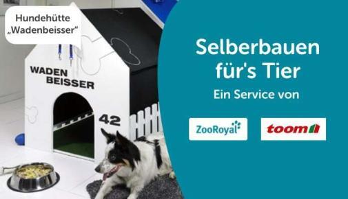 Hundehütte selber bauen