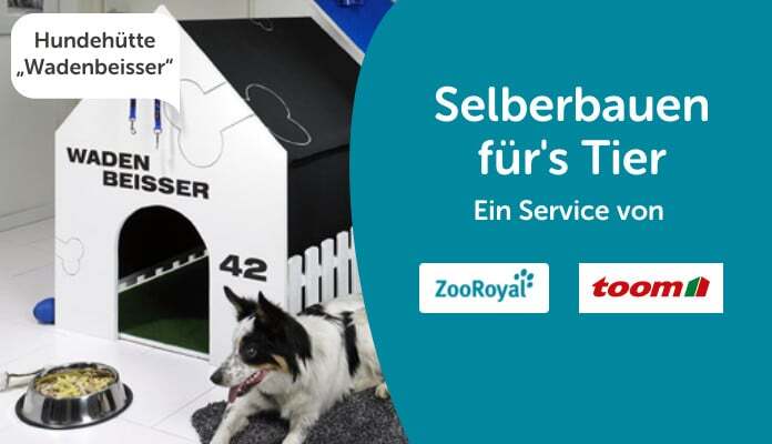 Hundehütte selber bauen