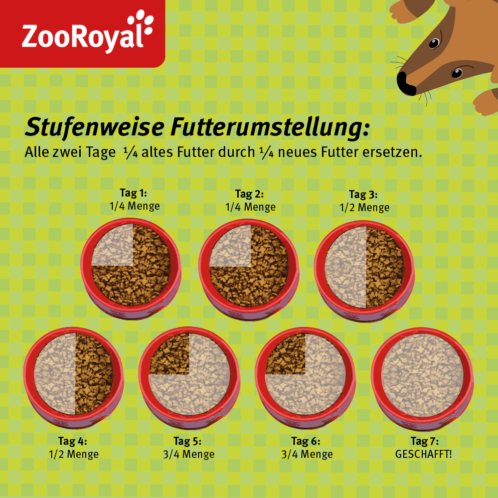 Futterumstellung auf BARF so klappt es! ZooRoyal Magazin