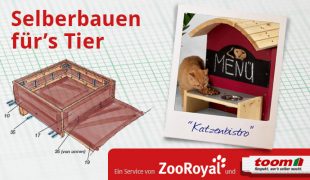 Futterbar für Katzen selber bauen