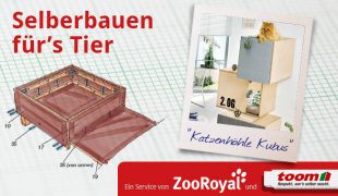 Katzenmöbel selber machen
