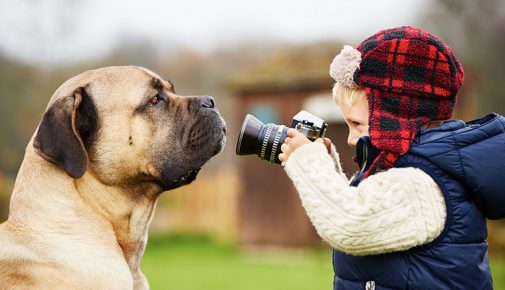 Tierfotografie