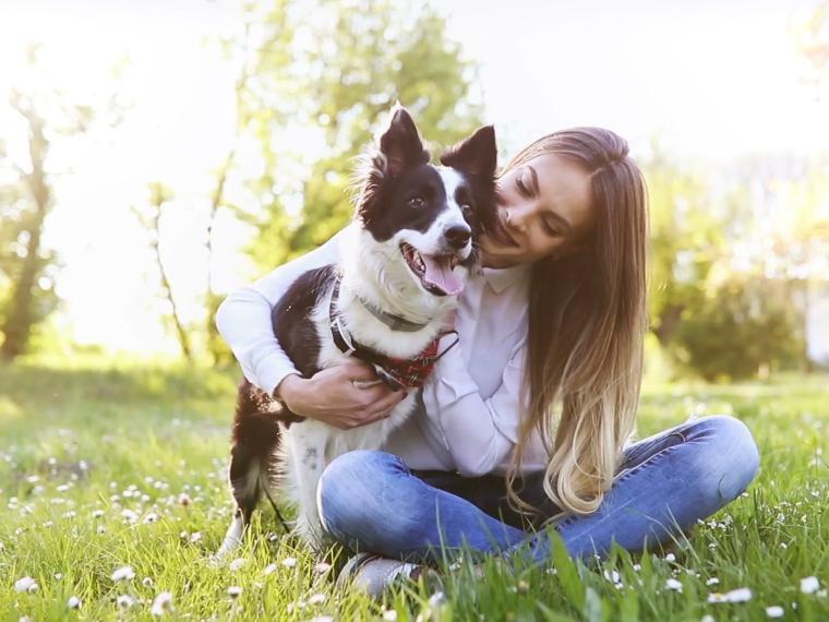 Kleiner Hund sitzt auf einer Wiese und wird im Arm gehalten.