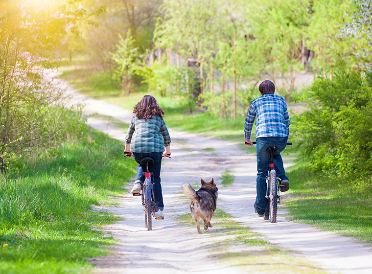 Radfahren mit Hund