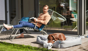 Wohnen mit Hund