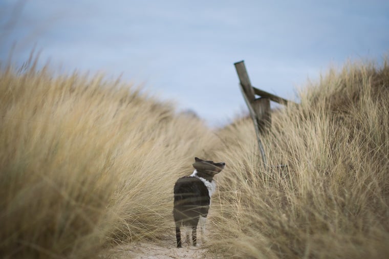 Ausflugstipps  Erlebnisse Fr Familien Ostsee Schleswig Holstein