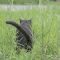 Katze markiert