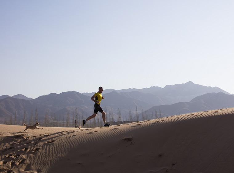 Gewinnspiel Finding Gobi