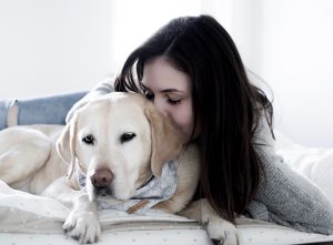 Hund-Mensch-Bindung