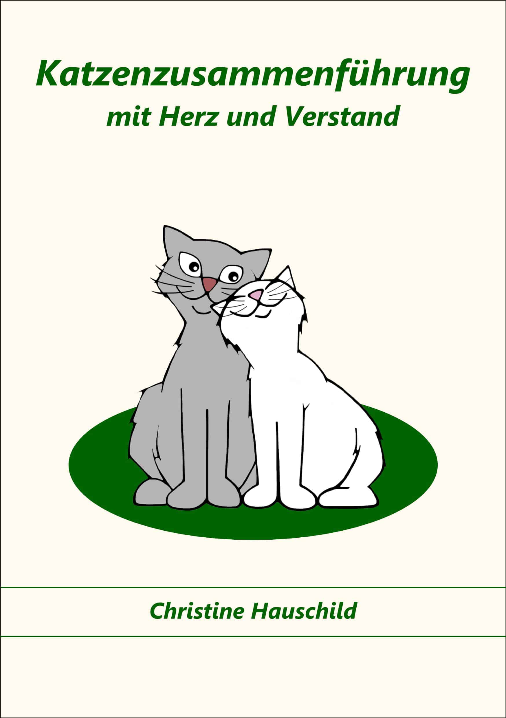 Katzenzusammenfuerung mit Herz und Verstand