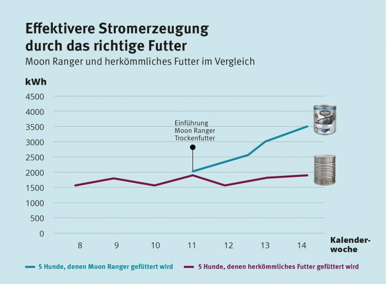 Hunde erzeugen Strom