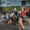 Altenheim für Tiere