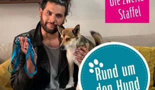 Rund um den Hund Staffel 2