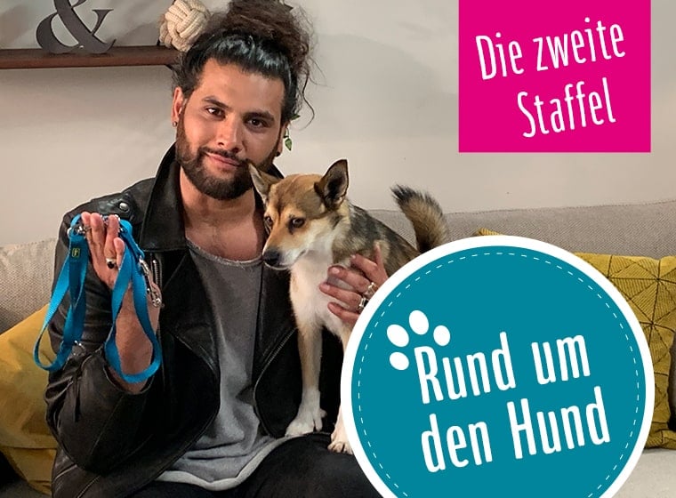 Rund um den Hund Staffel 2