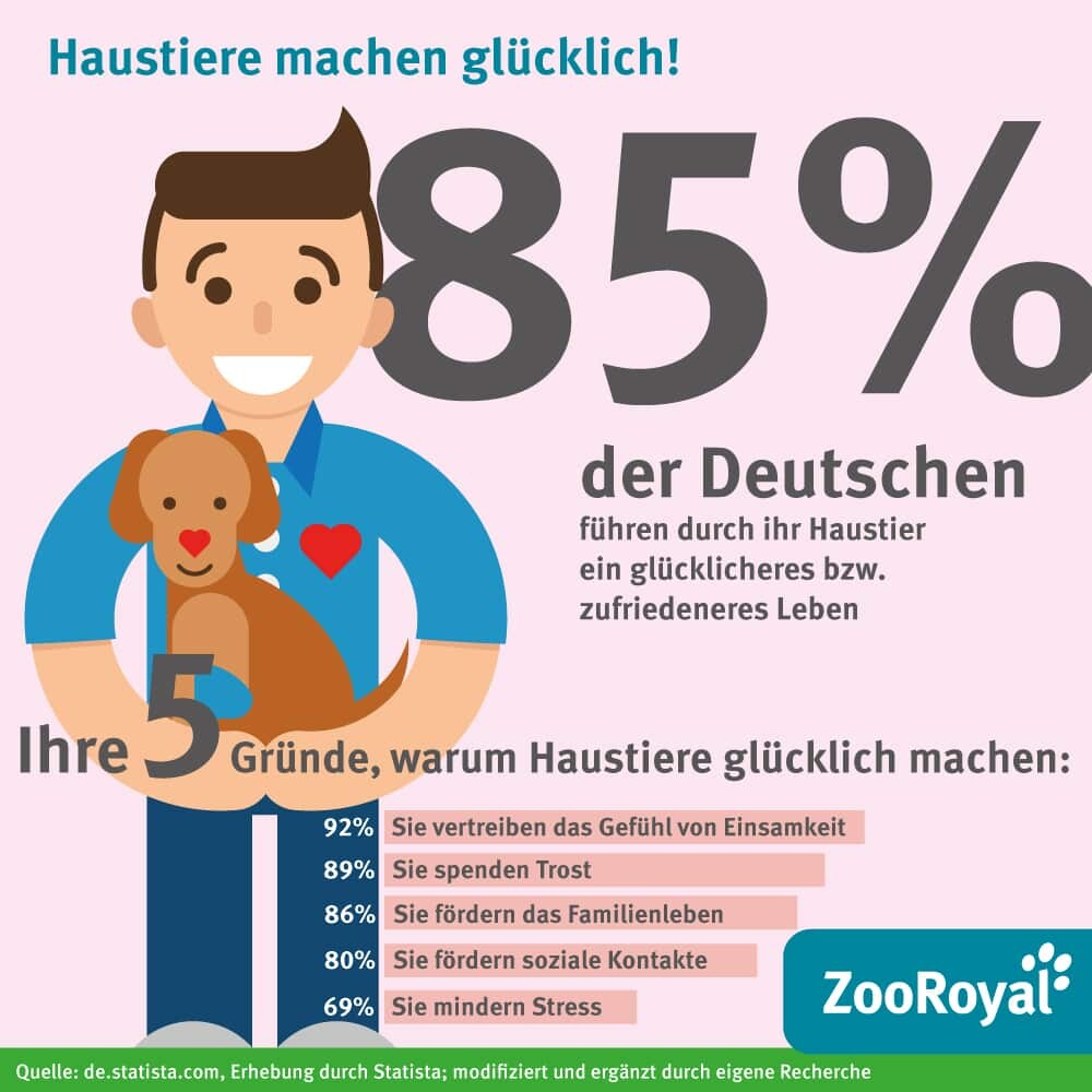 Tag des Glücks Infografik
