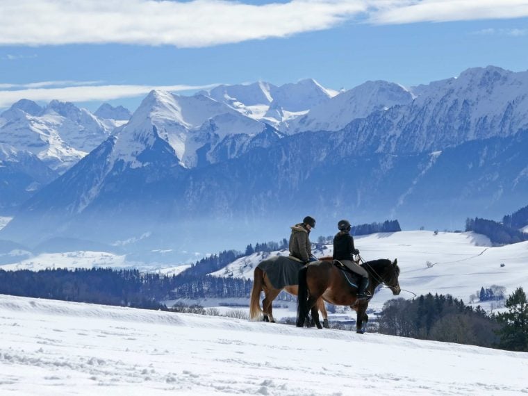 Reiten in der kalten jahreszeit