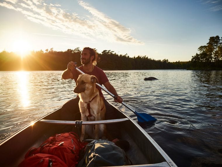 Kanu fahren mit Hund