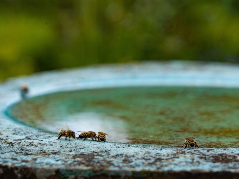 Wasserstellen