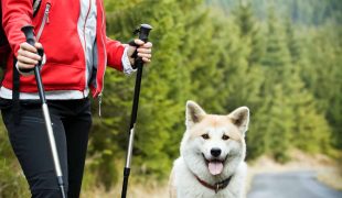 Nordic Walking mit Hund