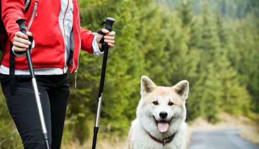 Nordic Walking mit Hund