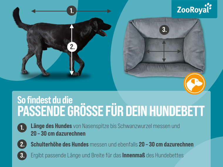 So findest du das passende Hundebett