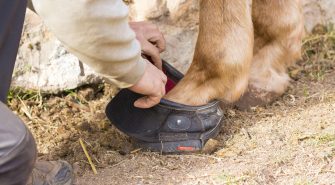 Hufschuh für Pferde