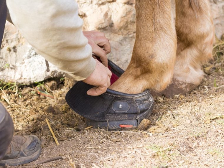 Hufschuhe für Pferde