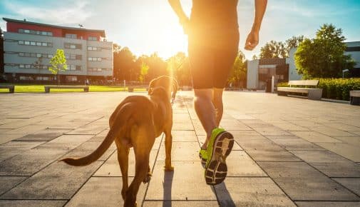 Joggen mit Hund