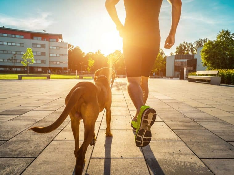 Joggen mit Hund