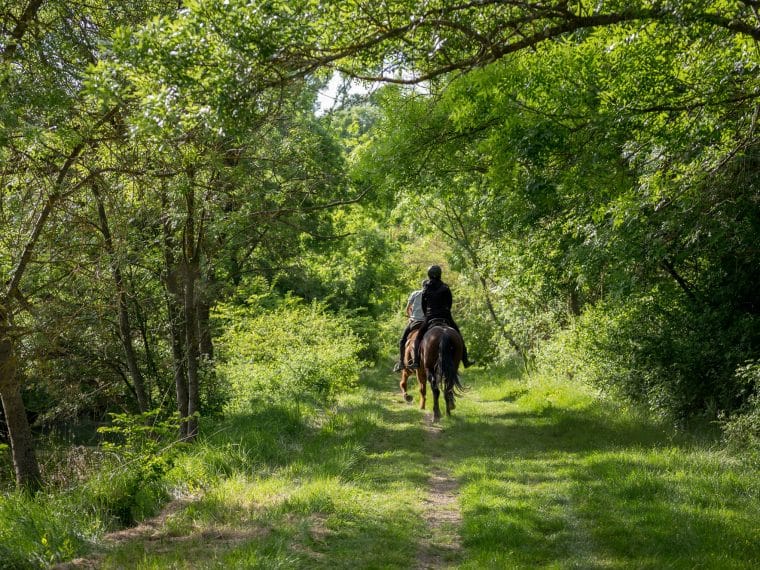 Wanderreiten