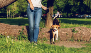 Fit durch den Frühling