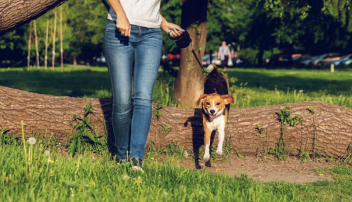 Fit durch den Frühling