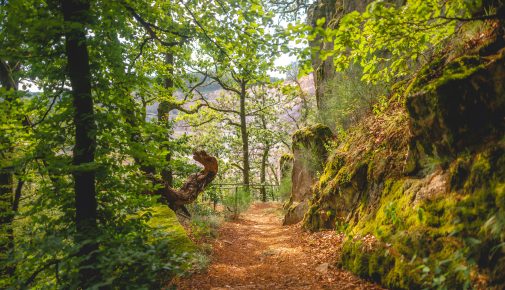 Schluchtensteig im Naturpark Südschwarzwald