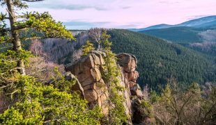 Nationalpark Harz