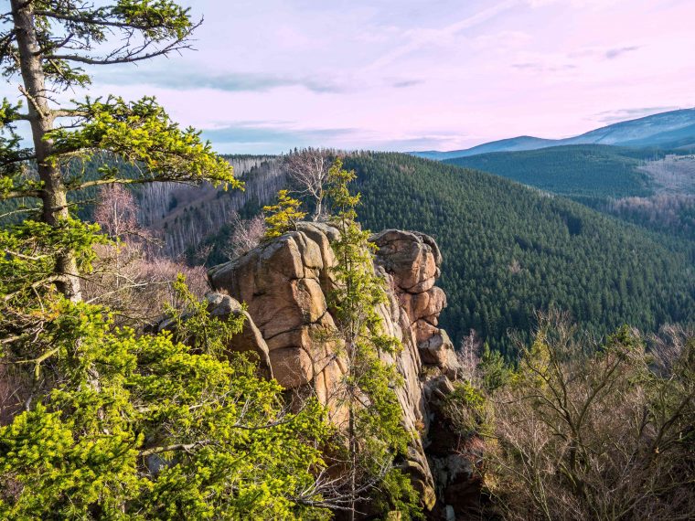 Nationalpark Harz