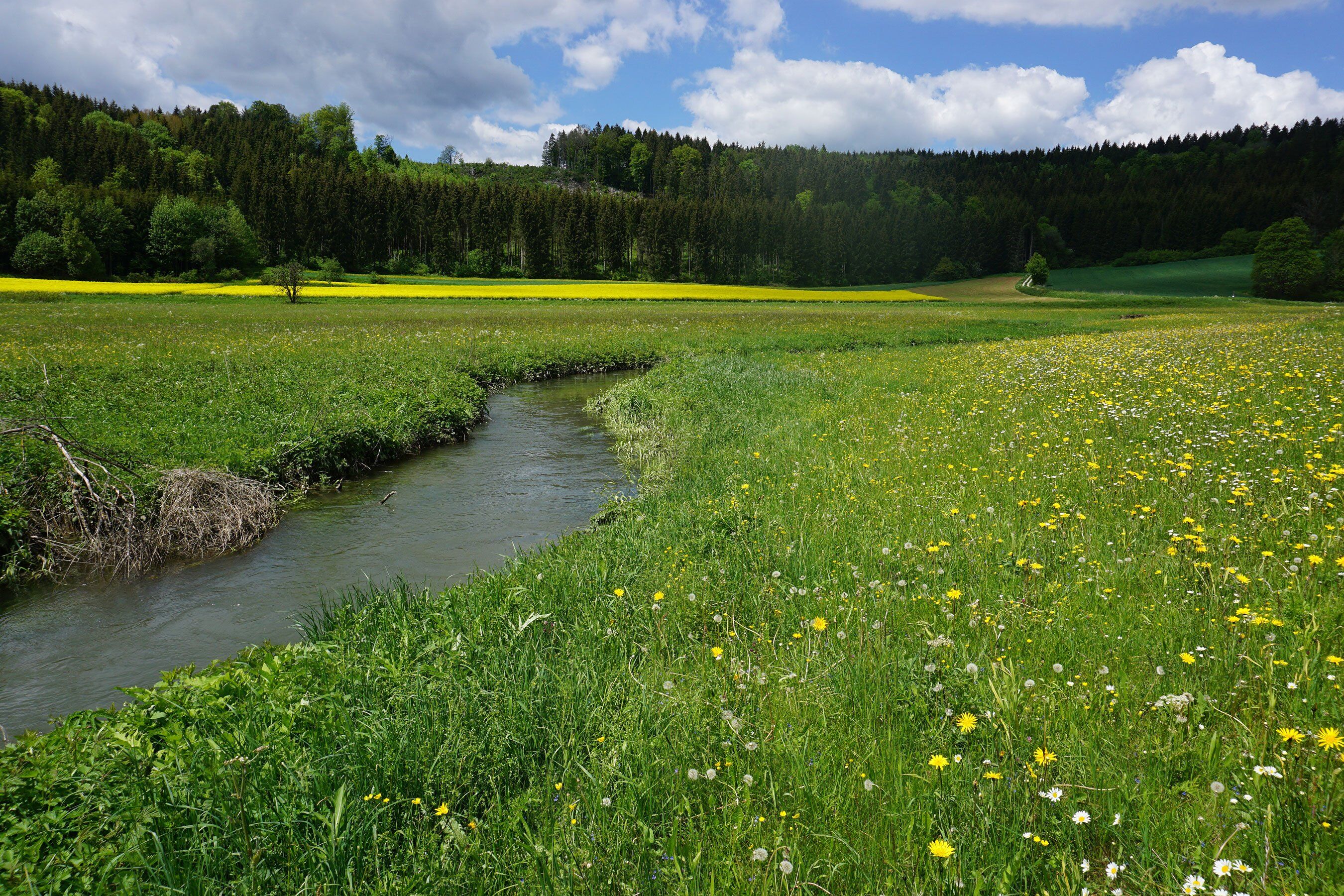 Fehlatal auf der schwäbischen Alb ZooRoyal