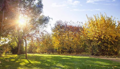 Herbstgarten