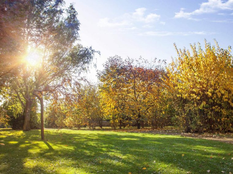 Herbstgarten