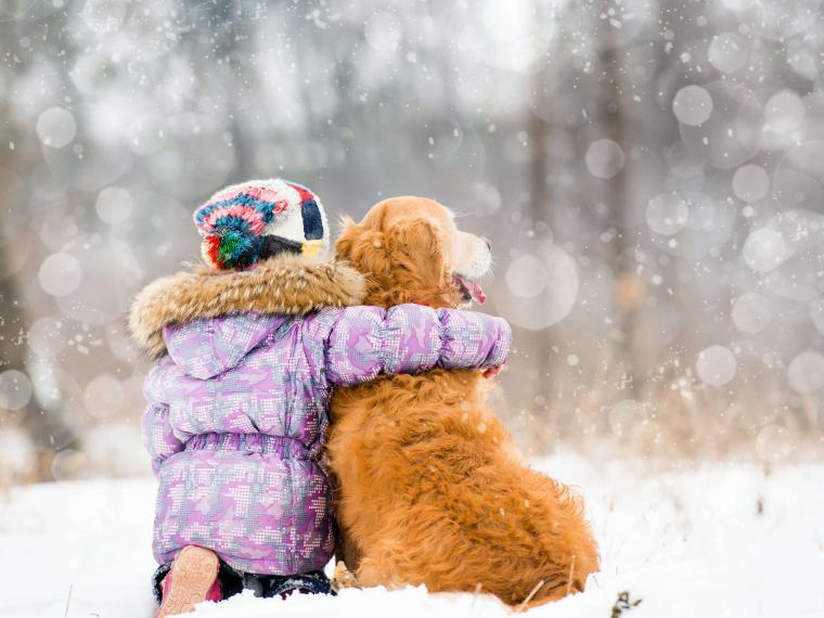 Adventskalender für Hund und Kind