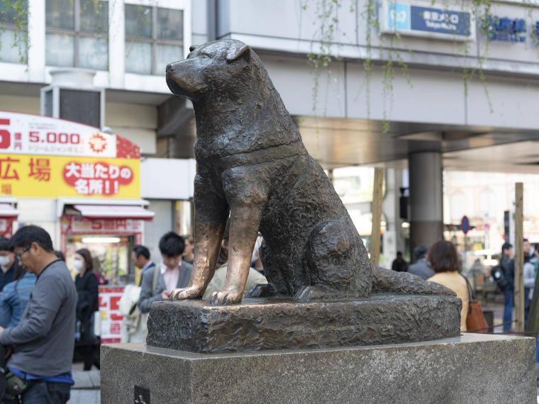 Statue Hachiko