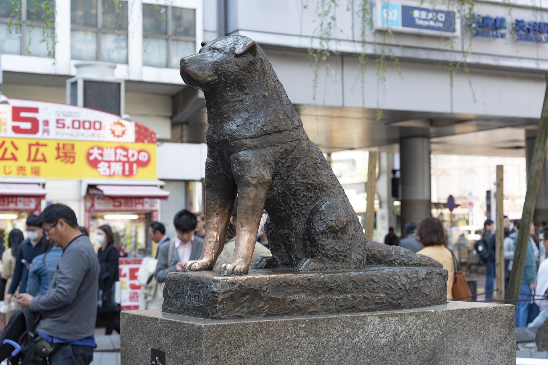 Statue Hachiko