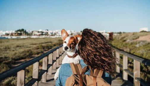 Mit dem Hund durch Europa