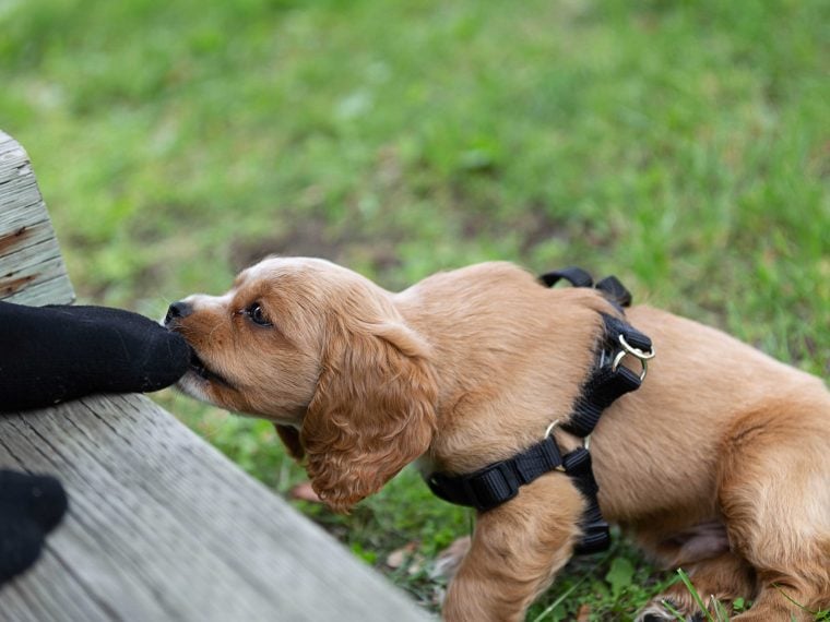 Socken ausziehen