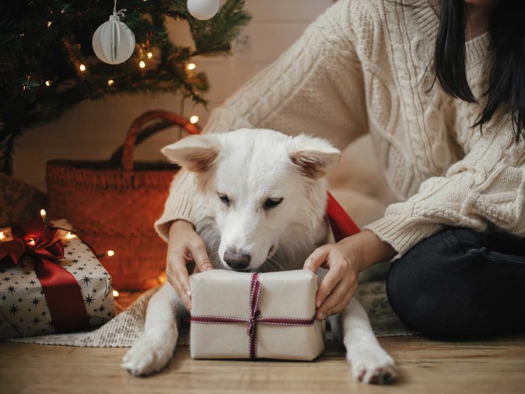 Weihnachtsgeschenke für Hunde