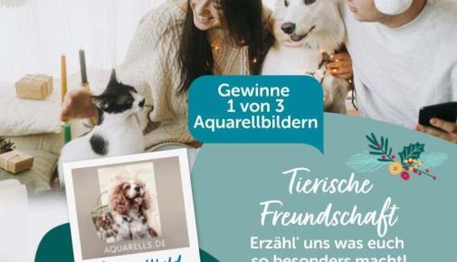 Gewinnspiel Aquarells.de