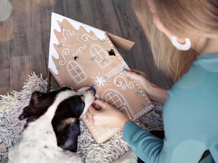 Hunde Adventskalender