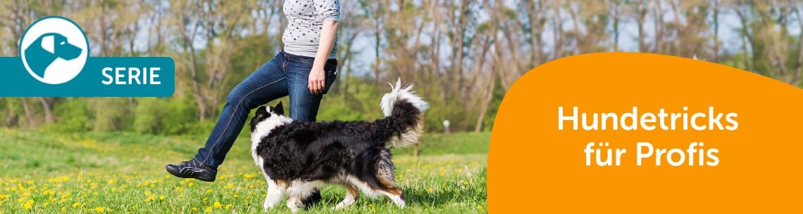 Hundetricks für Profis