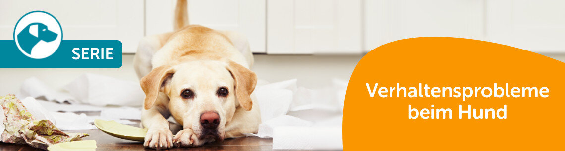Verhaltensprobleme beim Hund